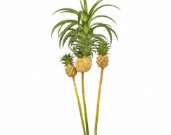 Pineapple - Mini White