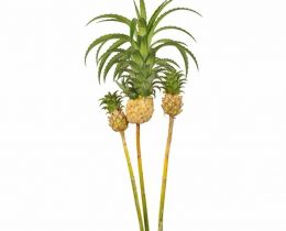 Pineapple - Mini White